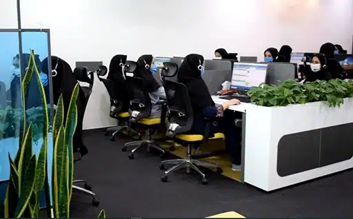 درباره یوکالا
